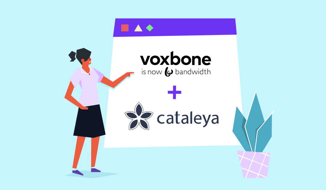 Using Voxbone with Cataleya