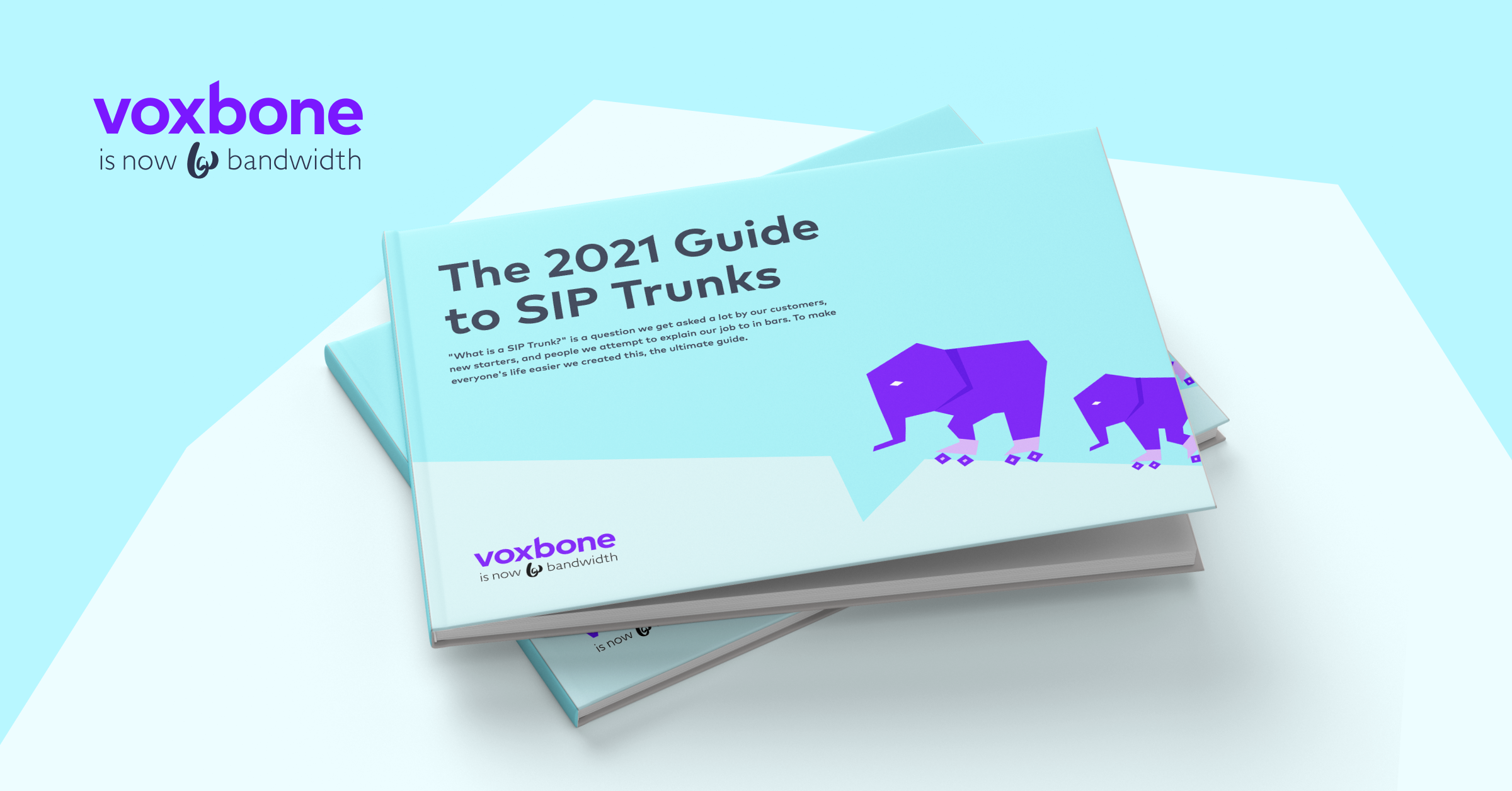 The 2021 Guide To SIP Trunks